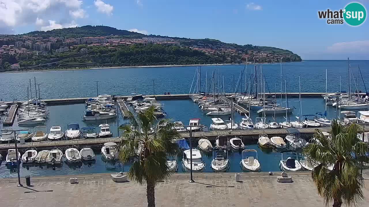 Camera en vivo Koper – puerto deportivo y paseo marítimo desde el Hotel Grand Koper