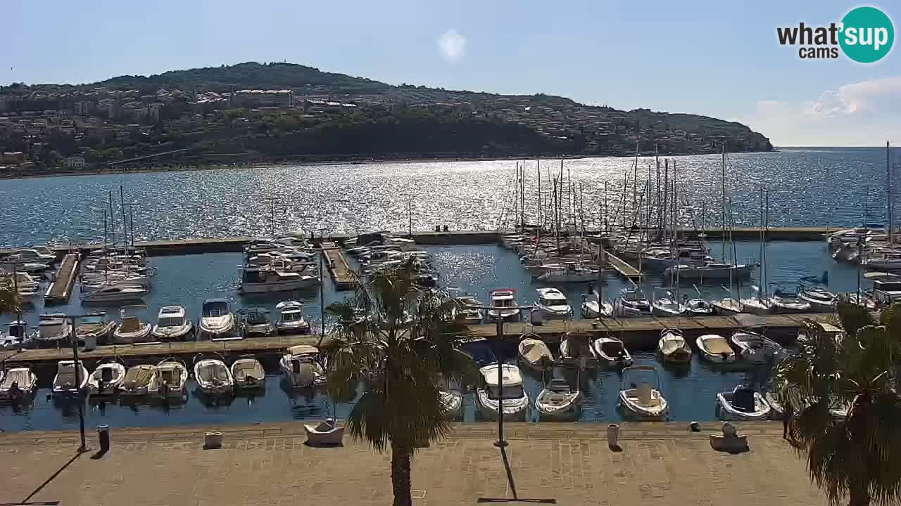 Web kamera Koper – marina i promenada – hotel Grand Koper