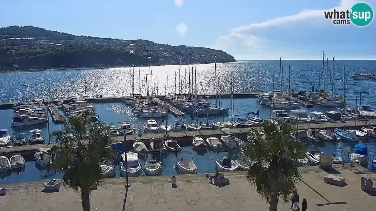 Webcam Koper – Panorama of the marina and promenade from the Grand Hotel Koper