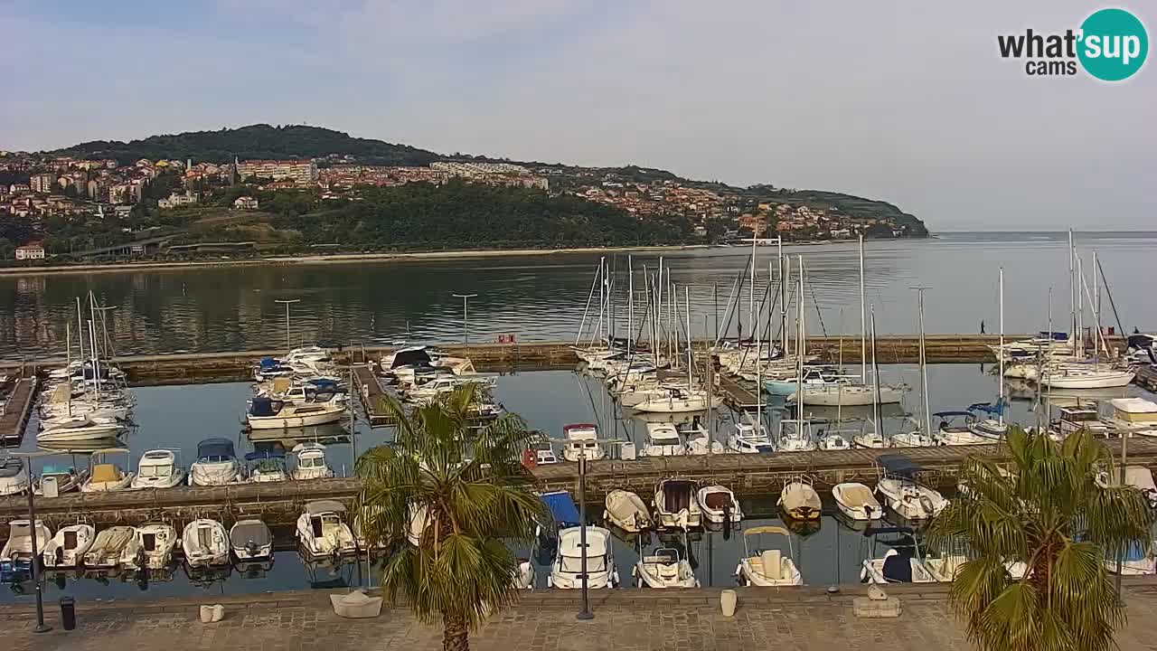 The Port of Koper live webcam – cruise and cargo port – Slovenia