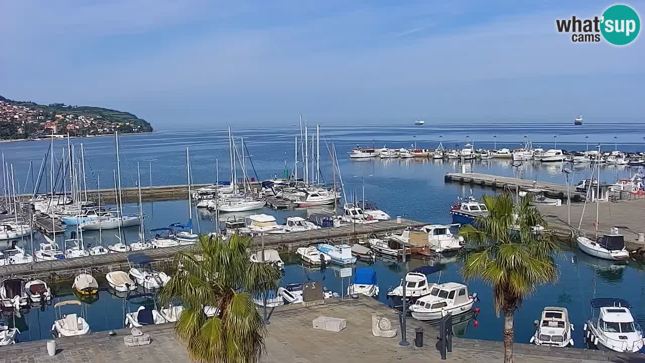 Camera en vivo Koper – puerto deportivo y paseo marítimo desde el Hotel Grand Koper