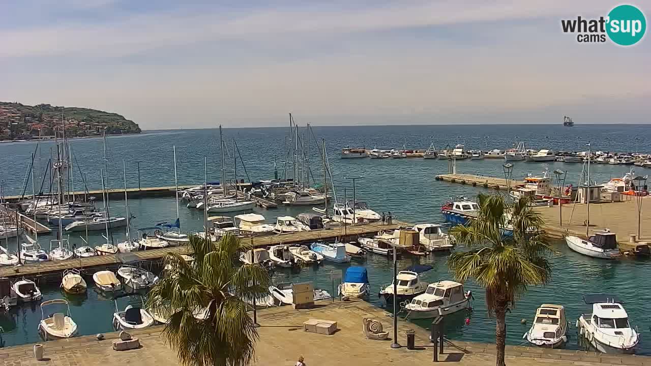 Camera en vivo Koper – puerto deportivo y paseo marítimo desde el Hotel Grand Koper