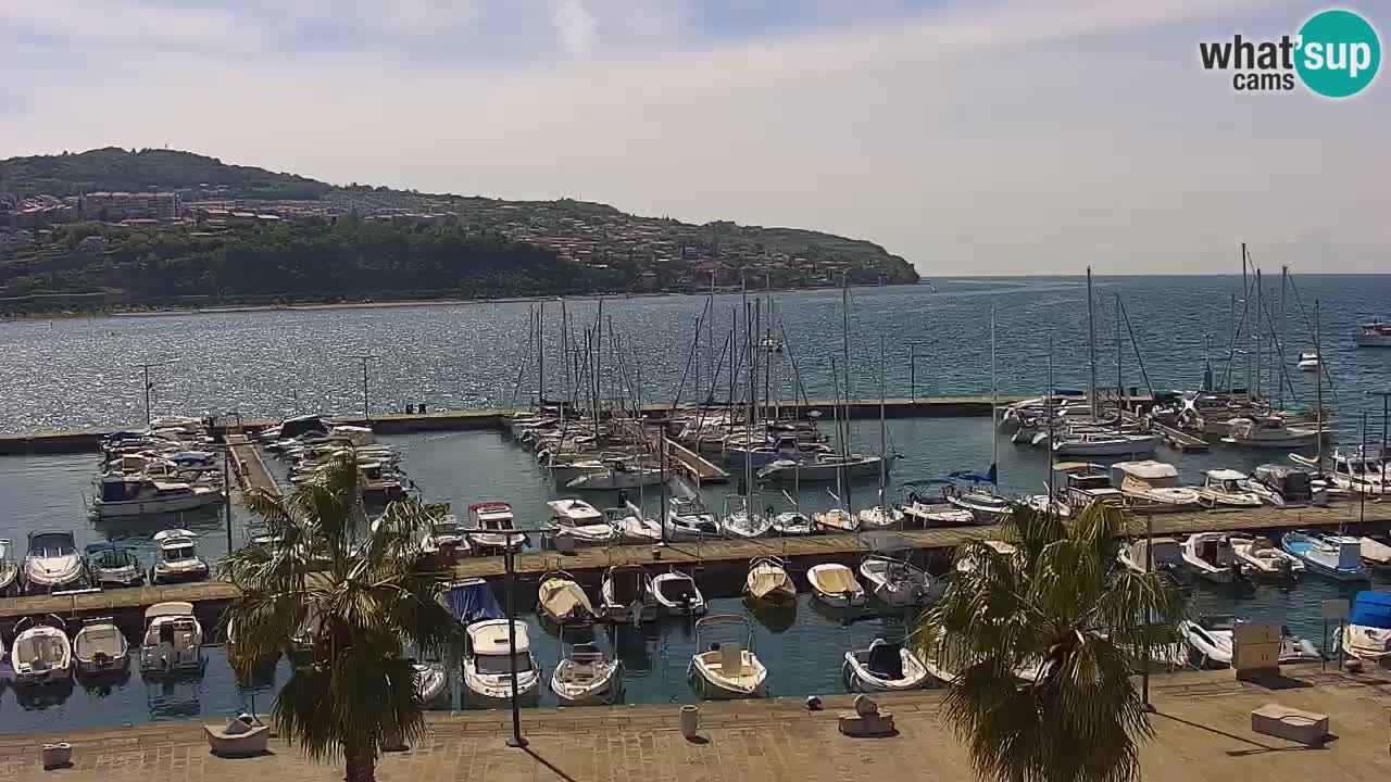 Webcam Koper – Panorama of the marina and promenade from the Grand Hotel Koper