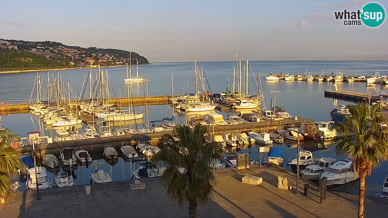 Webcam Koper – Panorama of the marina and promenade from the Grand Hotel Koper