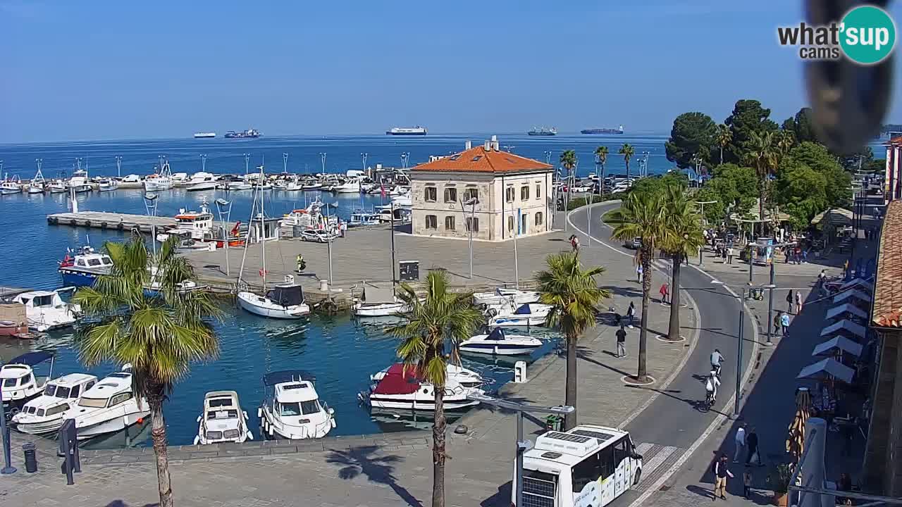 Luka Kopar uživo web kamera – Turistički terminal i teretna luka – Slovenija
