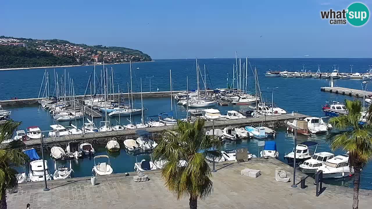 Webcam Koper – Panorama des Jachthafens und der Promenade vom Hotel Grand Koper