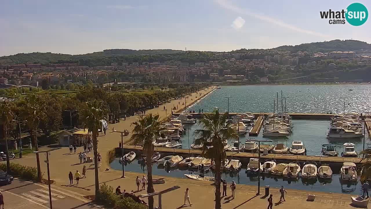 Spletna kamera Koper – Panorama na marino in promenado s Hotela Grand Koper