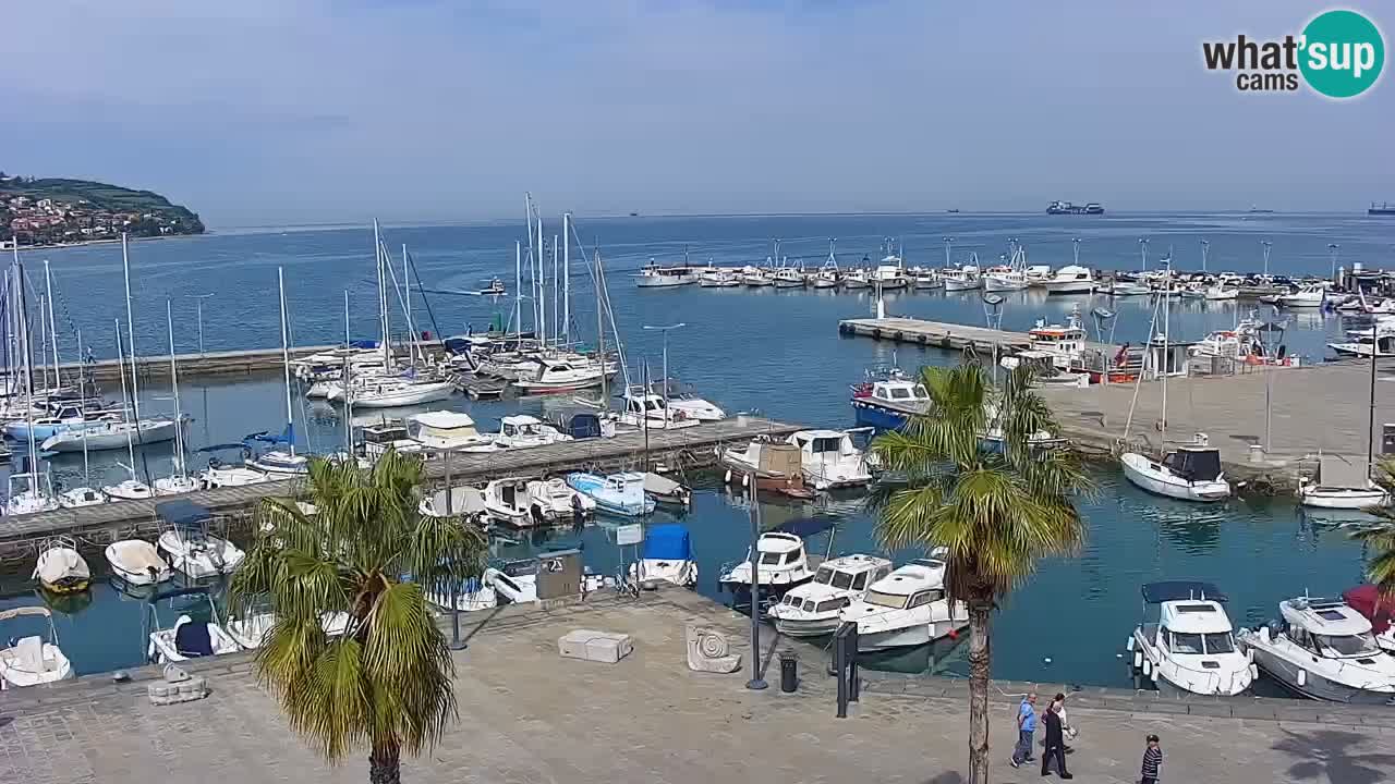 Webcam Koper – Panorama of the marina and promenade from the Grand Hotel Koper