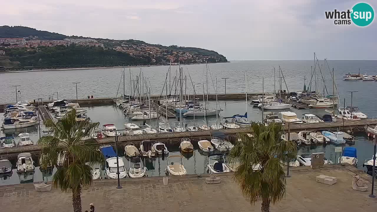 Webcam Koper – Panorama des Jachthafens und der Promenade vom Hotel Grand Koper