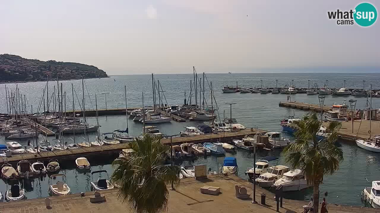Webcam Koper – Panorama des Jachthafens und der Promenade vom Hotel Grand Koper
