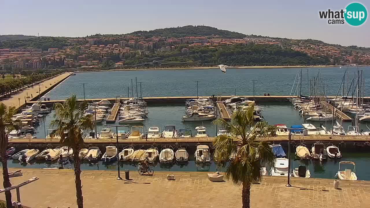 Camera en vivo Koper – puerto deportivo y paseo marítimo desde el Hotel Grand Koper
