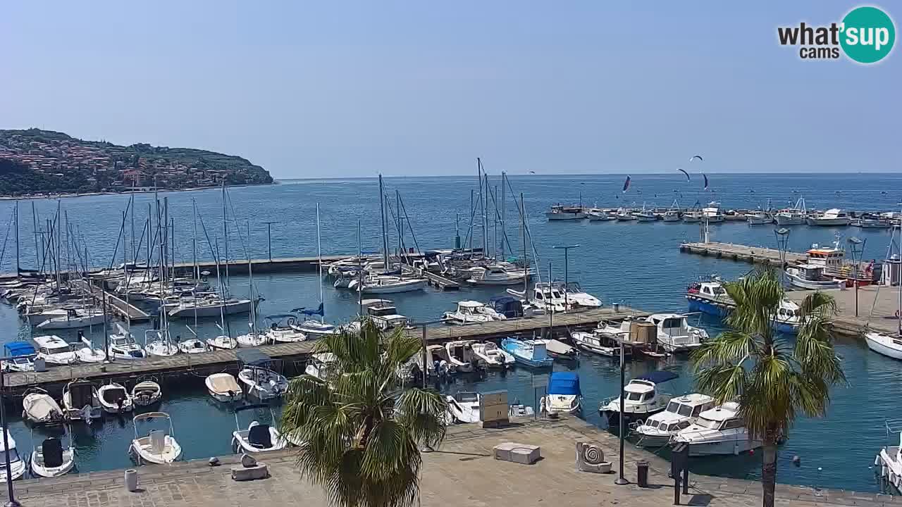 Spletna kamera Koper – Panorama na marino in promenado s Hotela Grand Koper
