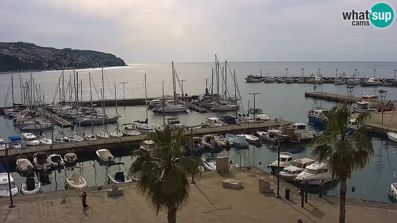 Web kamera Koper – marina i promenada – hotel Grand Koper