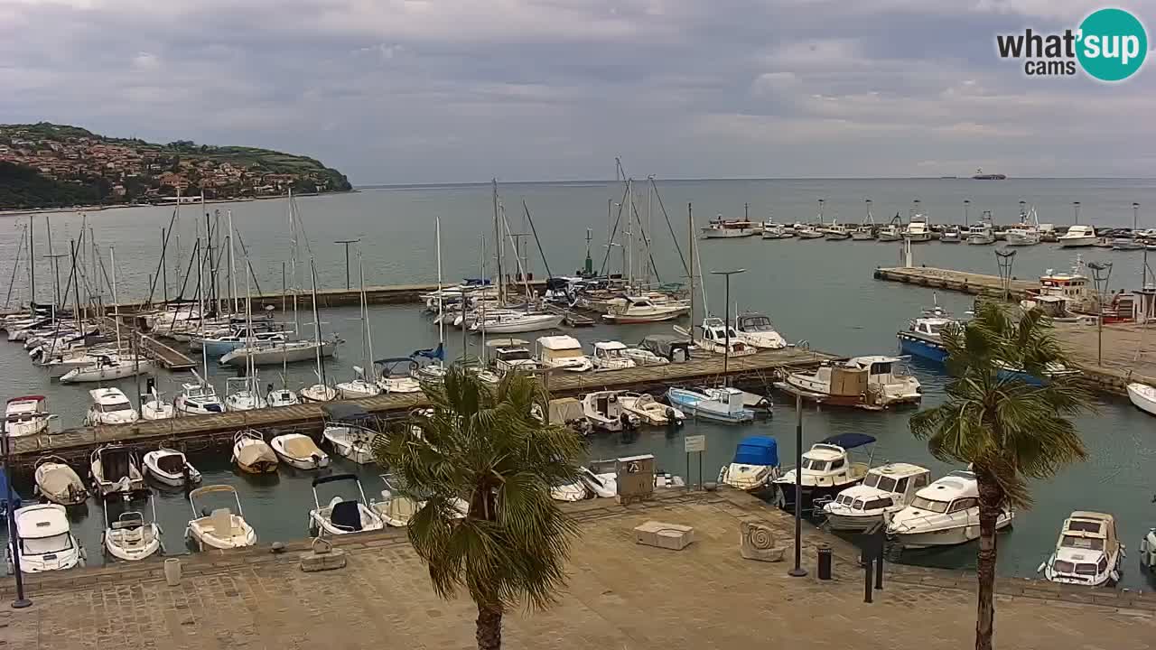 Webcam Koper – Panorama de la marina et de la promenade depuis le Grand Hotel Koper