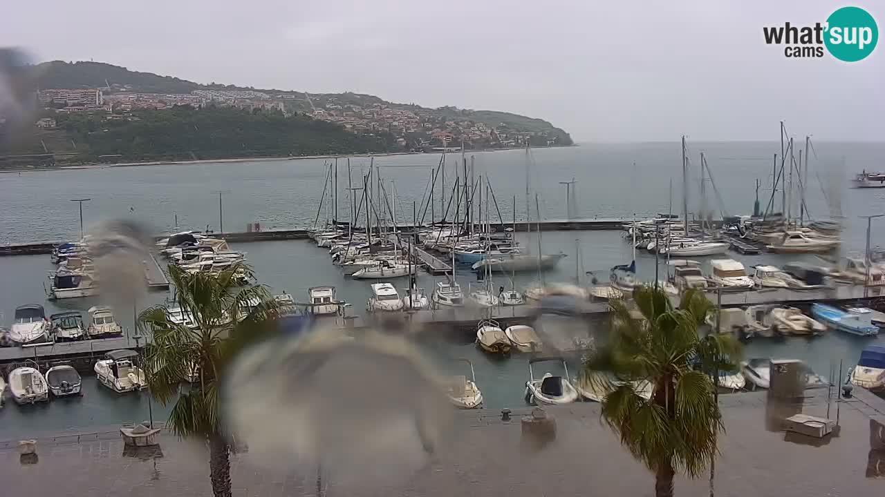 Webcam Koper – Panorama de la marina et de la promenade depuis le Grand Hotel Koper
