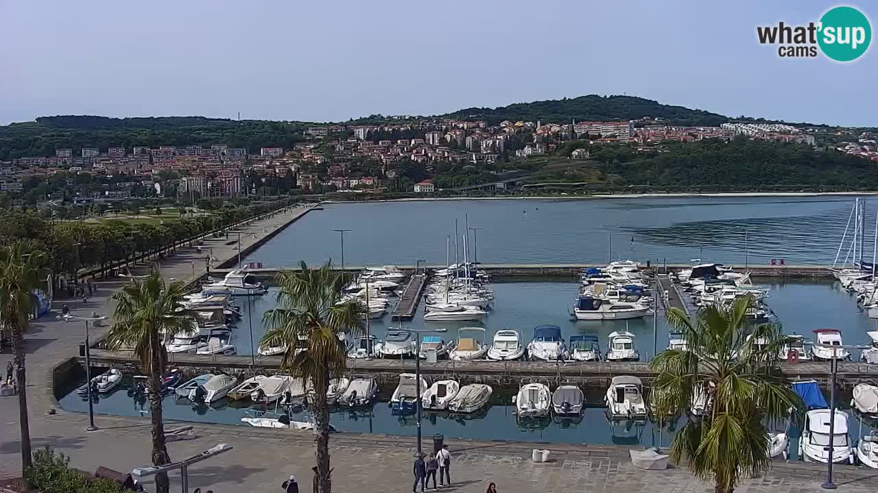 Spletna kamera Koper – Panorama na marino in promenado s Hotela Grand Koper