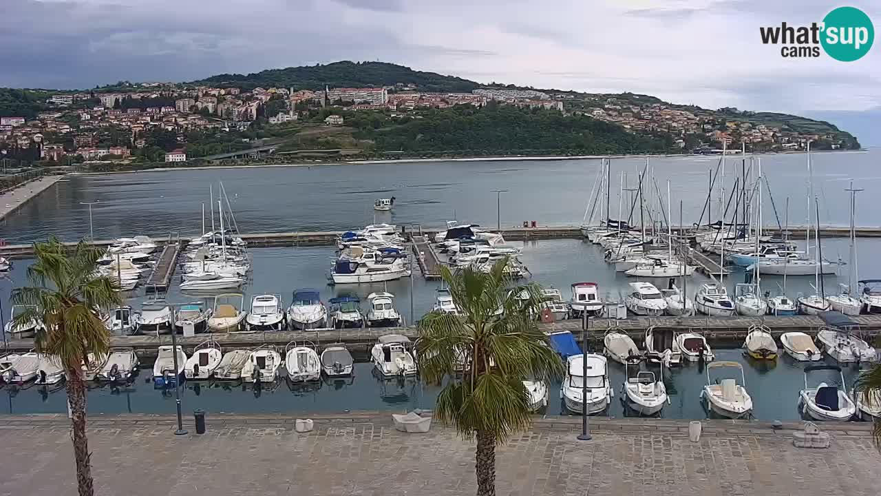 Webcam Koper – Panorama of the marina and promenade from the Grand Hotel Koper