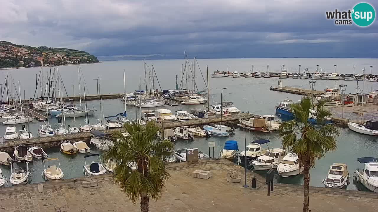 Webcam Capodistria – marina e lungo mare dall’Hotel Grand Koper