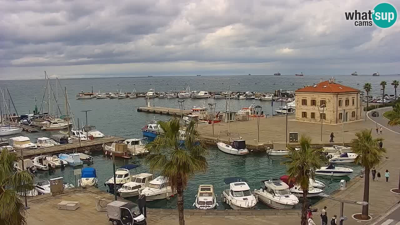 Webcam Koper – Panorama of the marina and promenade from the Grand Hotel Koper