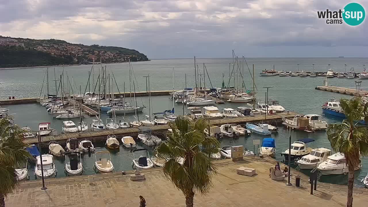 Webcam Koper – Panorama of the marina and promenade from the Grand Hotel Koper