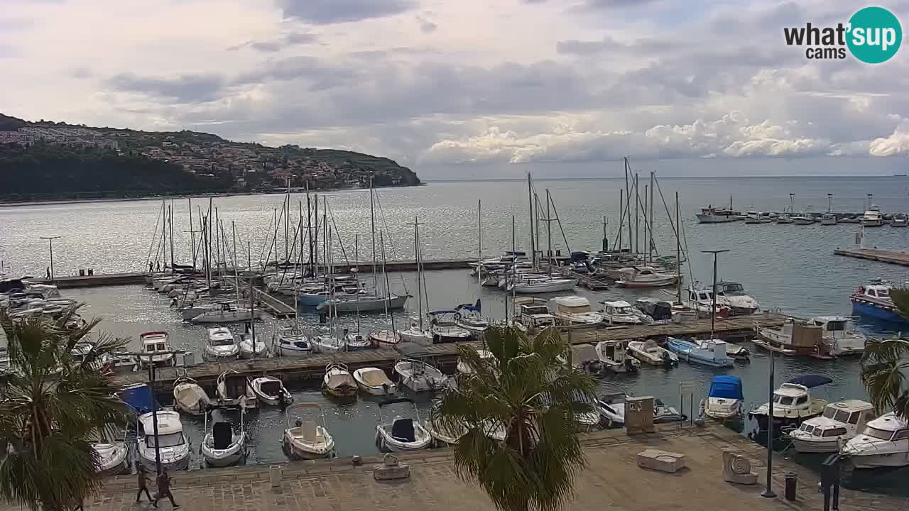 Webcam Koper – Panorama of the marina and promenade from the Grand Hotel Koper