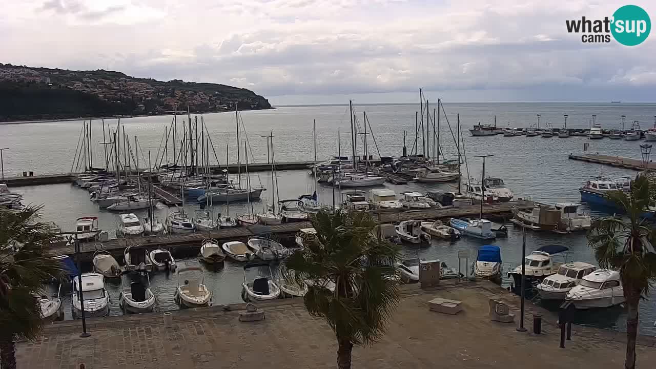 Web kamera Koper – marina i promenada – hotel Grand Koper