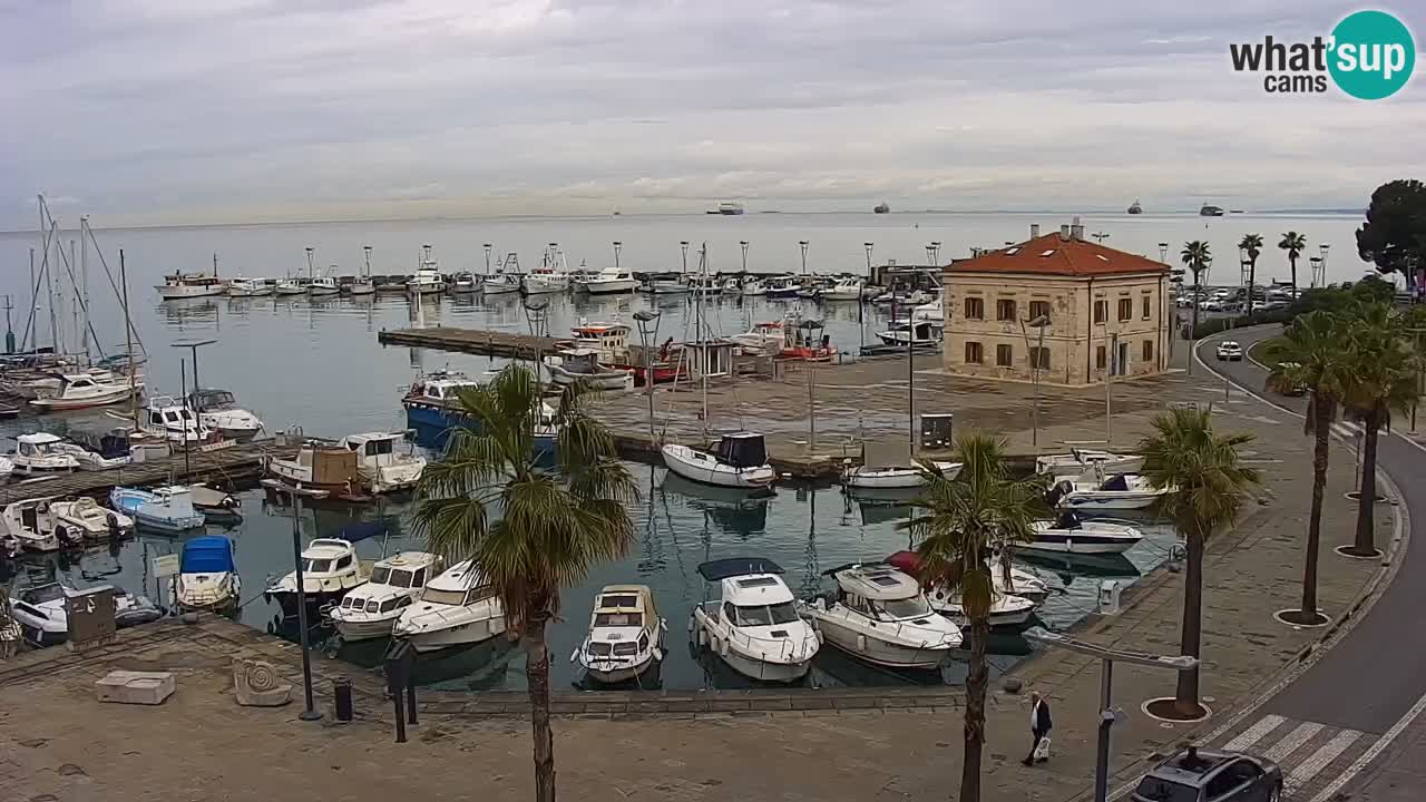 Camera en vivo Koper – puerto deportivo y paseo marítimo desde el Hotel Grand Koper