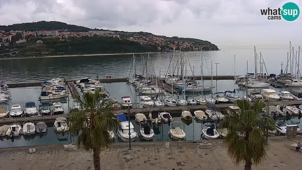 Webcam Koper – Panorama des Jachthafens und der Promenade vom Hotel Grand Koper