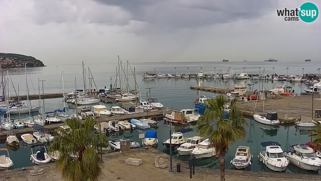 Camera en vivo Koper – puerto deportivo y paseo marítimo desde el Hotel Grand Koper
