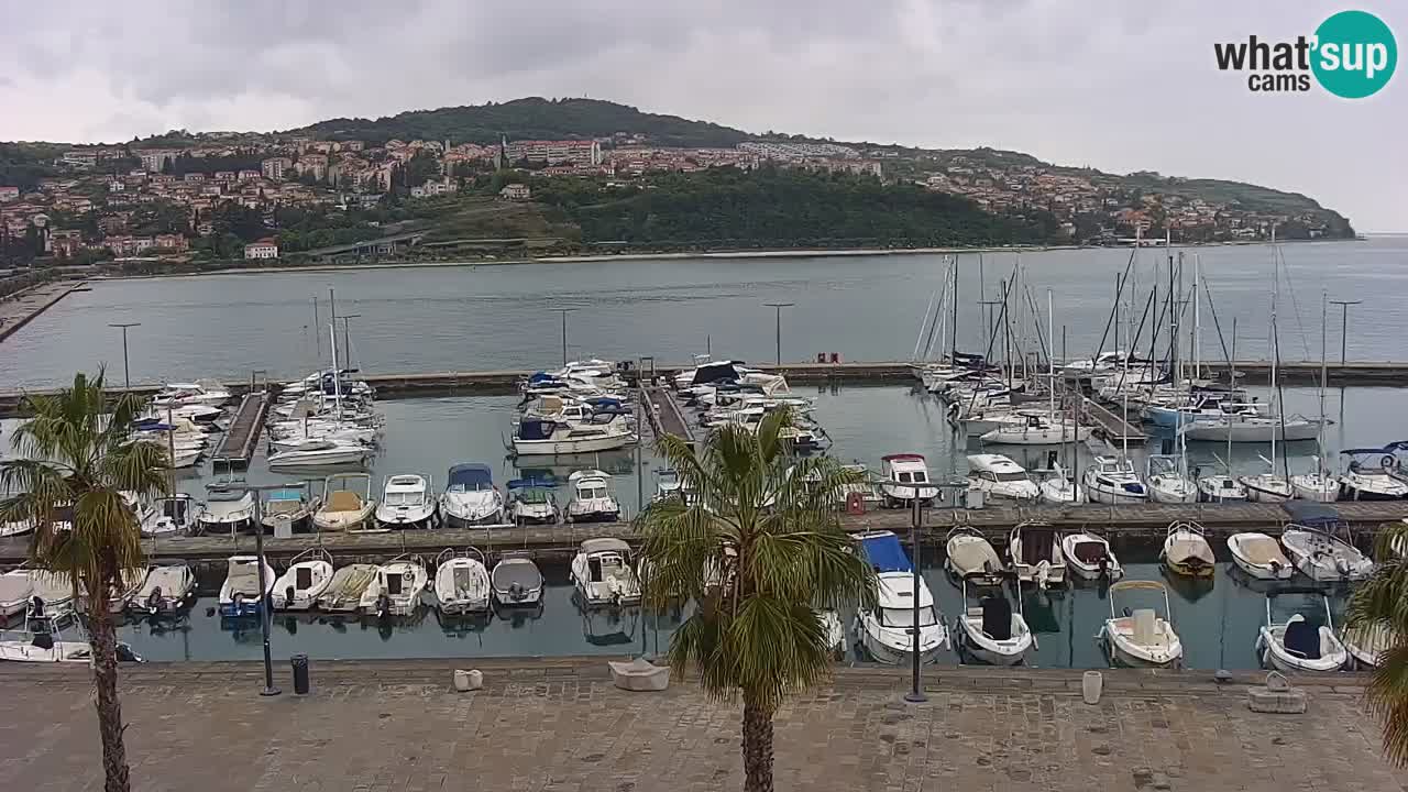Web kamera Koper – marina i promenada – hotel Grand Koper