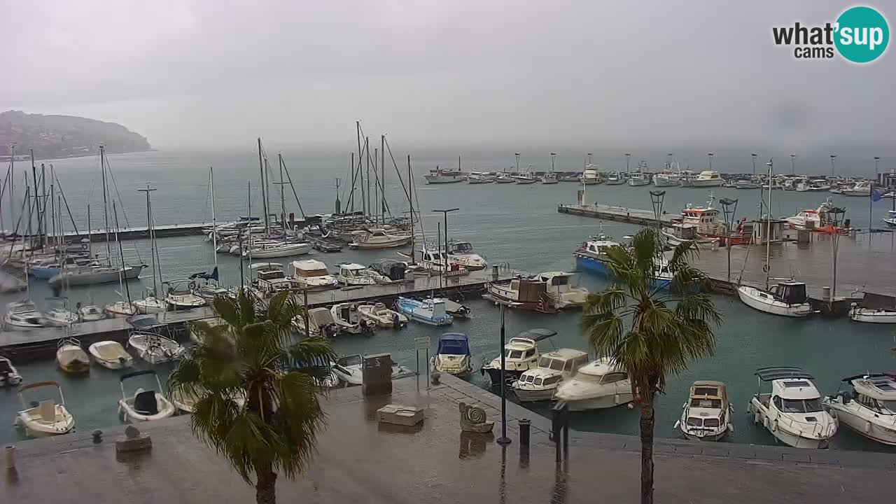 Web kamera Koper – marina i promenada – hotel Grand Koper