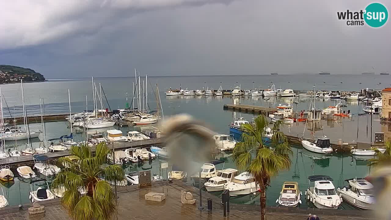 Webcam Koper – Ukmarjev trg
