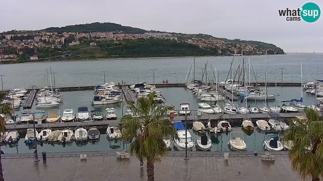Webcam Koper – Panorama de la marina et de la promenade depuis le Grand Hotel Koper