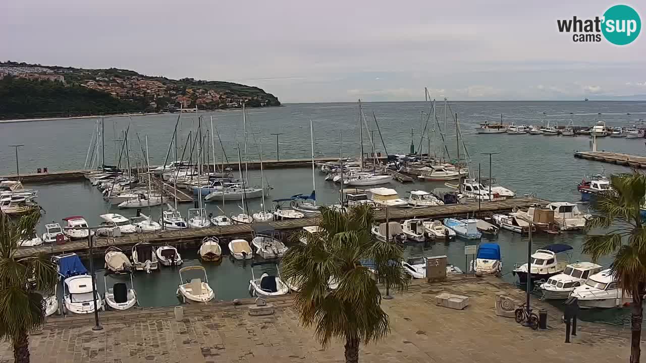 Webcam Koper – Panorama de la marina et de la promenade depuis le Grand Hotel Koper