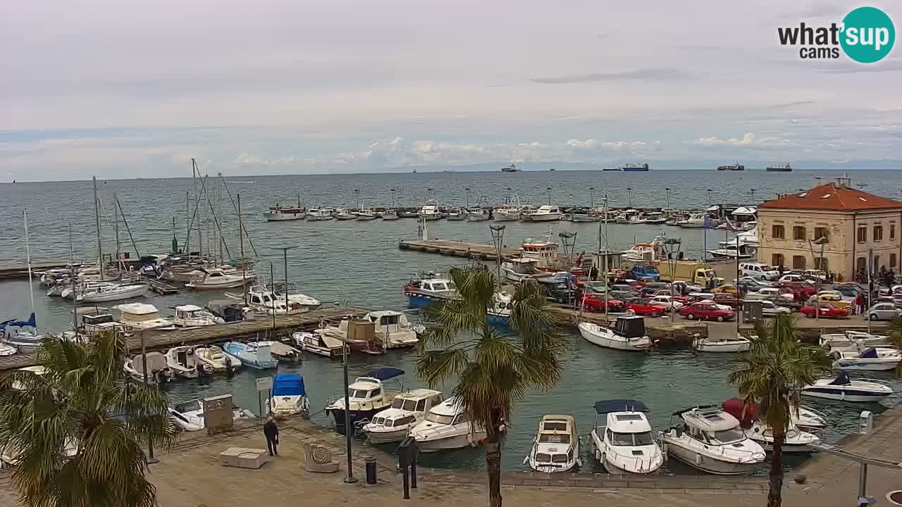 Webcam Koper – Panorama of the marina and promenade from the Grand Hotel Koper