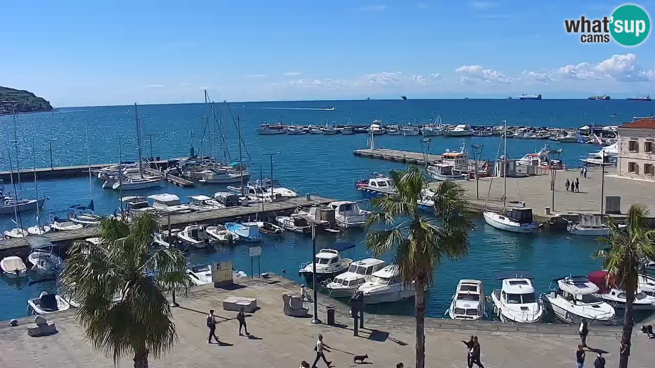 Webcam Koper – Panorama des Jachthafens und der Promenade vom Hotel Grand Koper