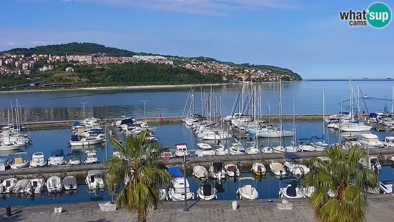 Webcam Koper – Panorama des Jachthafens und der Promenade vom Hotel Grand Koper