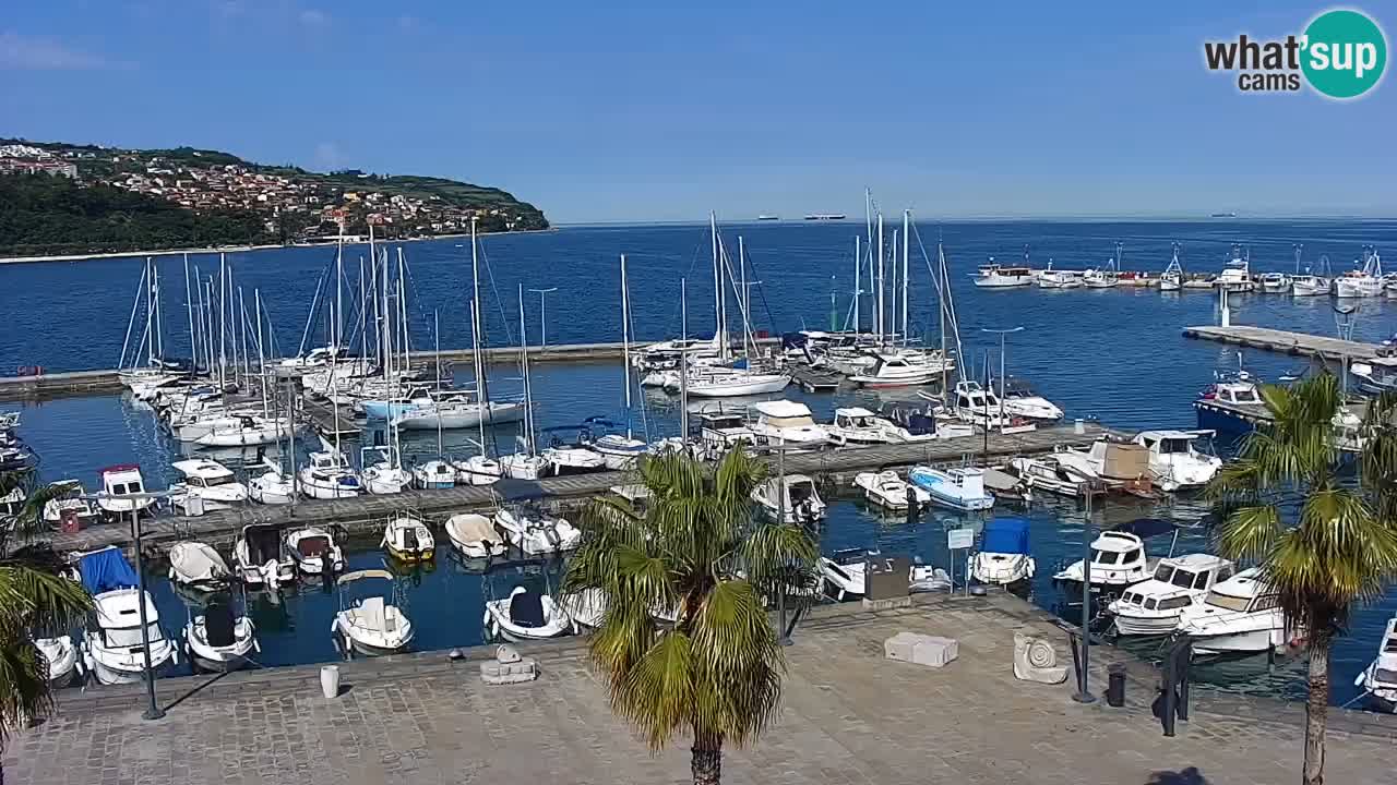 Webcam Koper – Panorama des Jachthafens und der Promenade vom Hotel Grand Koper