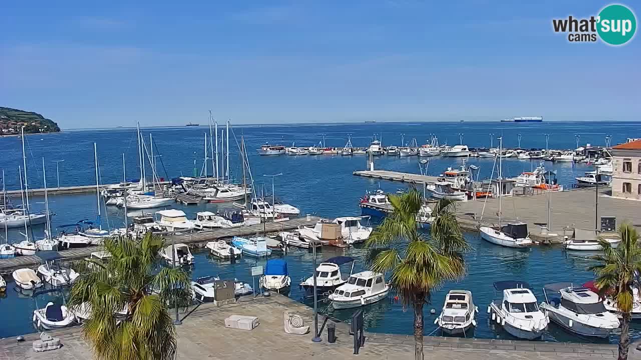 Webcam Koper – Panorama des Jachthafens und der Promenade vom Hotel Grand Koper