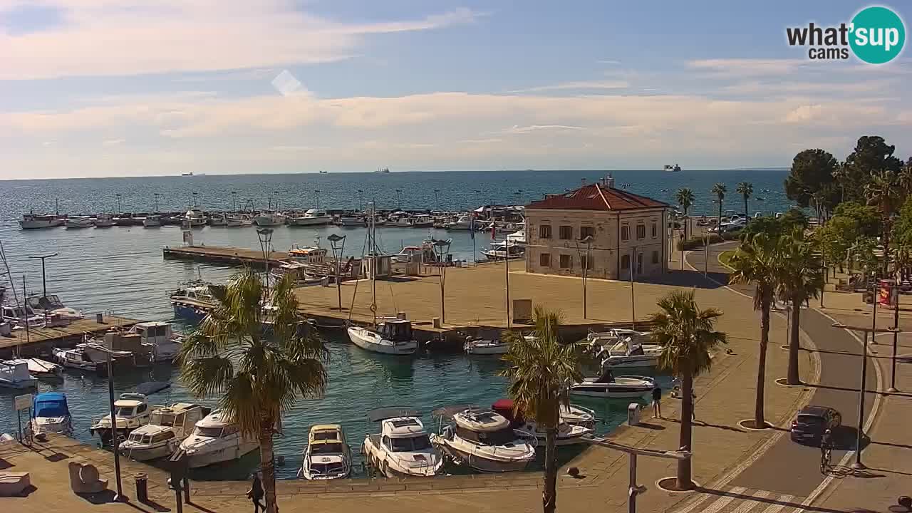 Spletna kamera Koper – Panorama na marino in promenado s Hotela Grand Koper