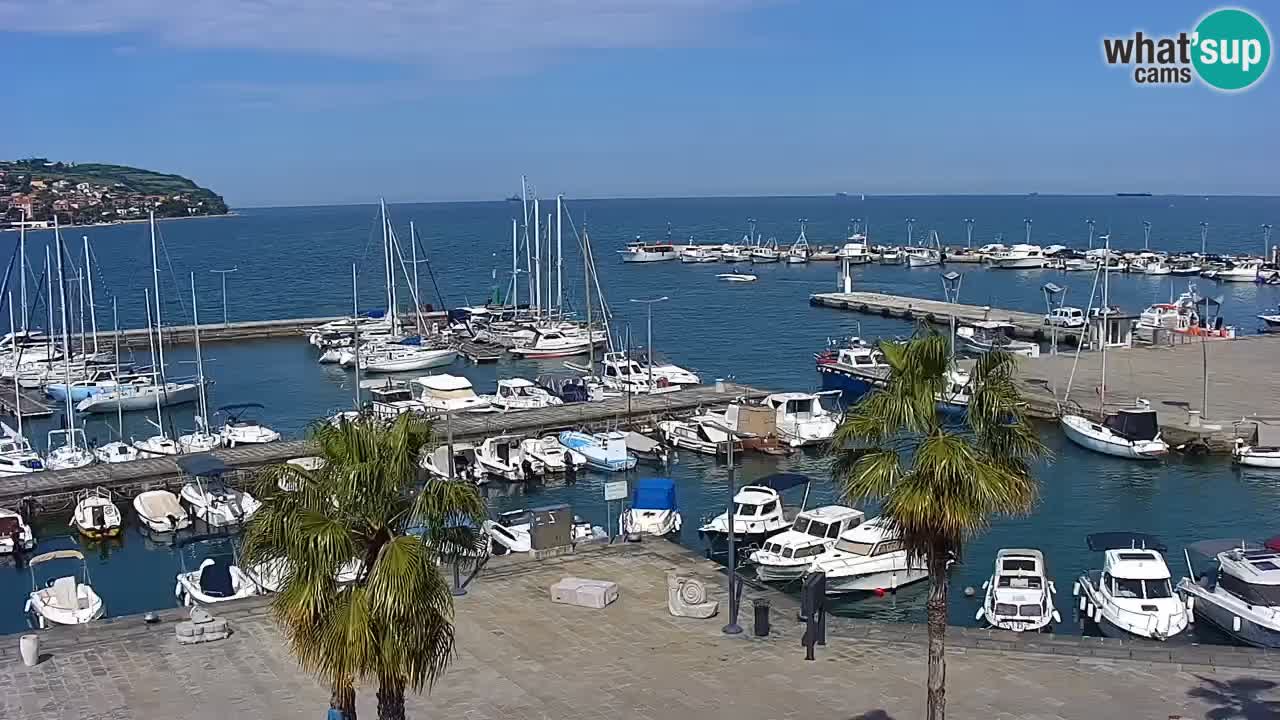 Spletna kamera Koper – Panorama na marino in promenado s Hotela Grand Koper