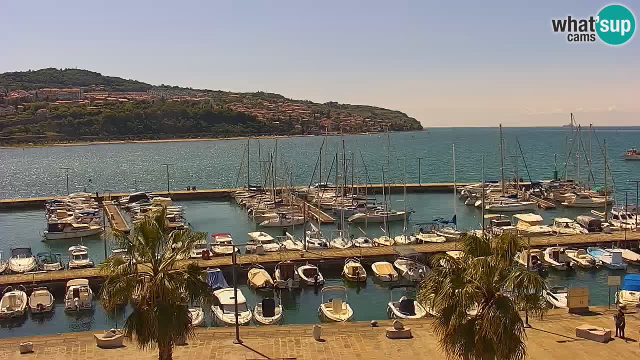 Webcam en vivo del Puerto de Koper – puerto de carga y cruceros – Eslovenia
