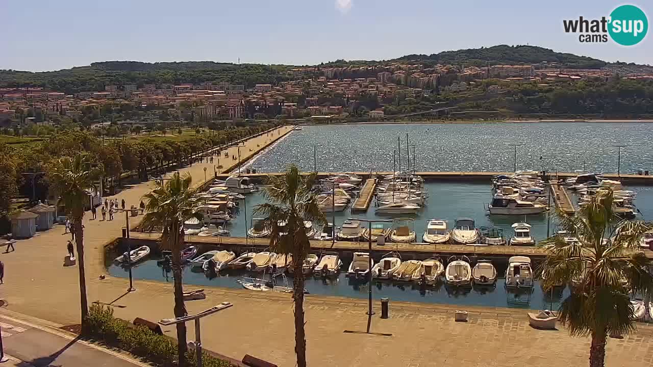 Webcam Koper – Panorama of the marina and promenade from the Grand Hotel Koper