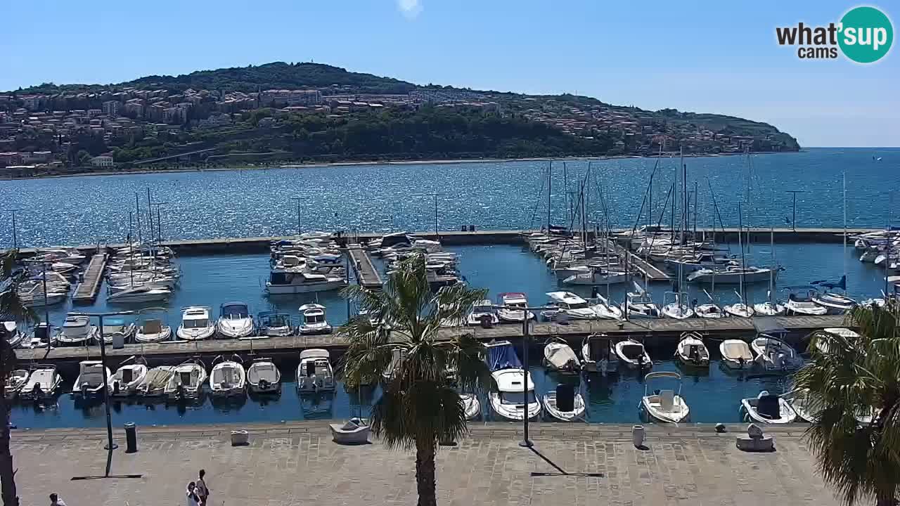 Webcam Koper – Panorama of the marina and promenade from the Grand Hotel Koper