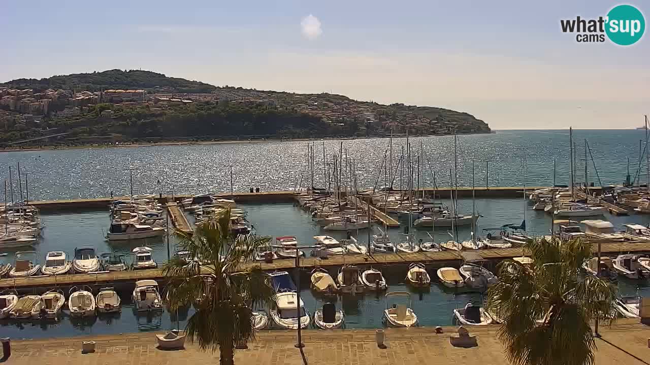 Webcam Koper – Panorama of the marina and promenade from the Grand Hotel Koper