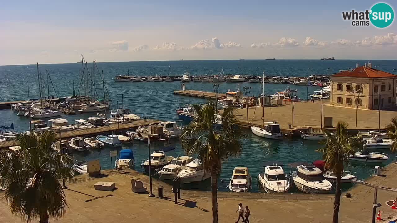 Webcam Capodistria – Piazza Ukmar