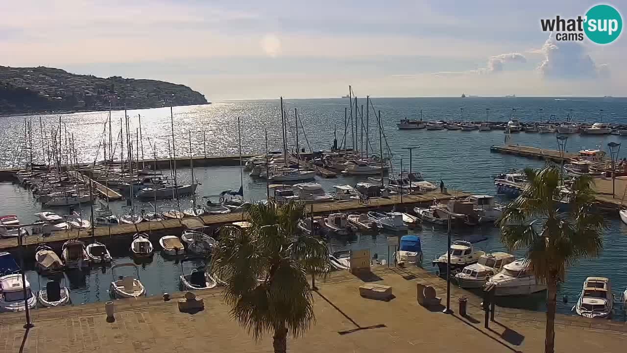 Web kamera Koper – marina i promenada – hotel Grand Koper