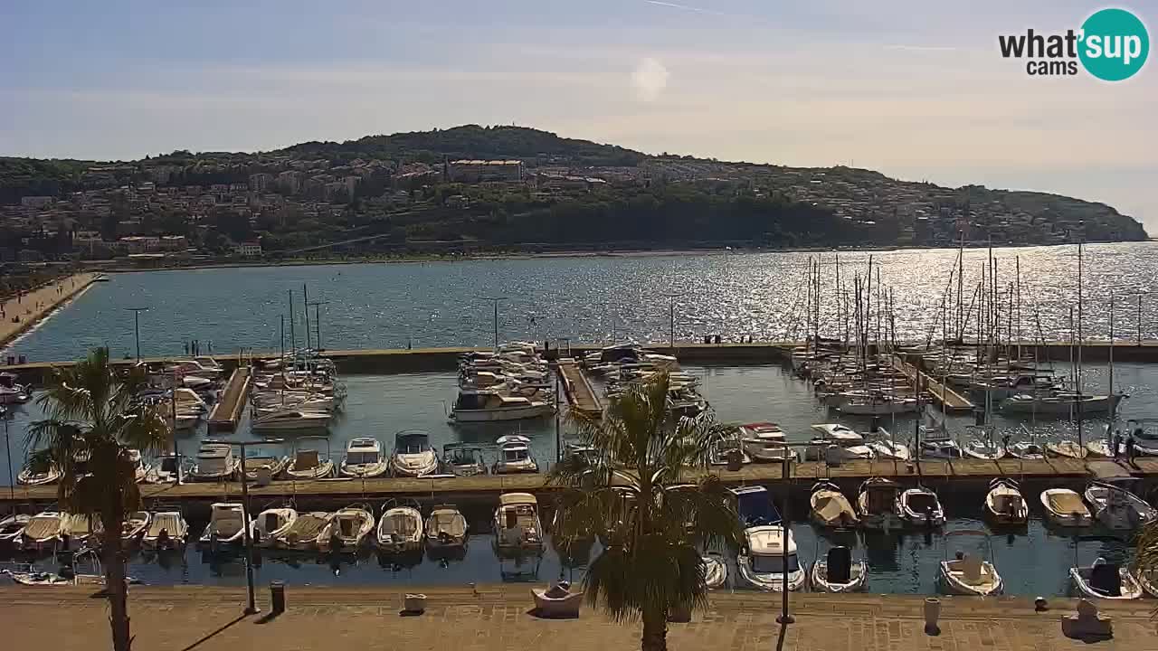 Spletna kamera Koper – Panorama na marino in promenado s Hotela Grand Koper