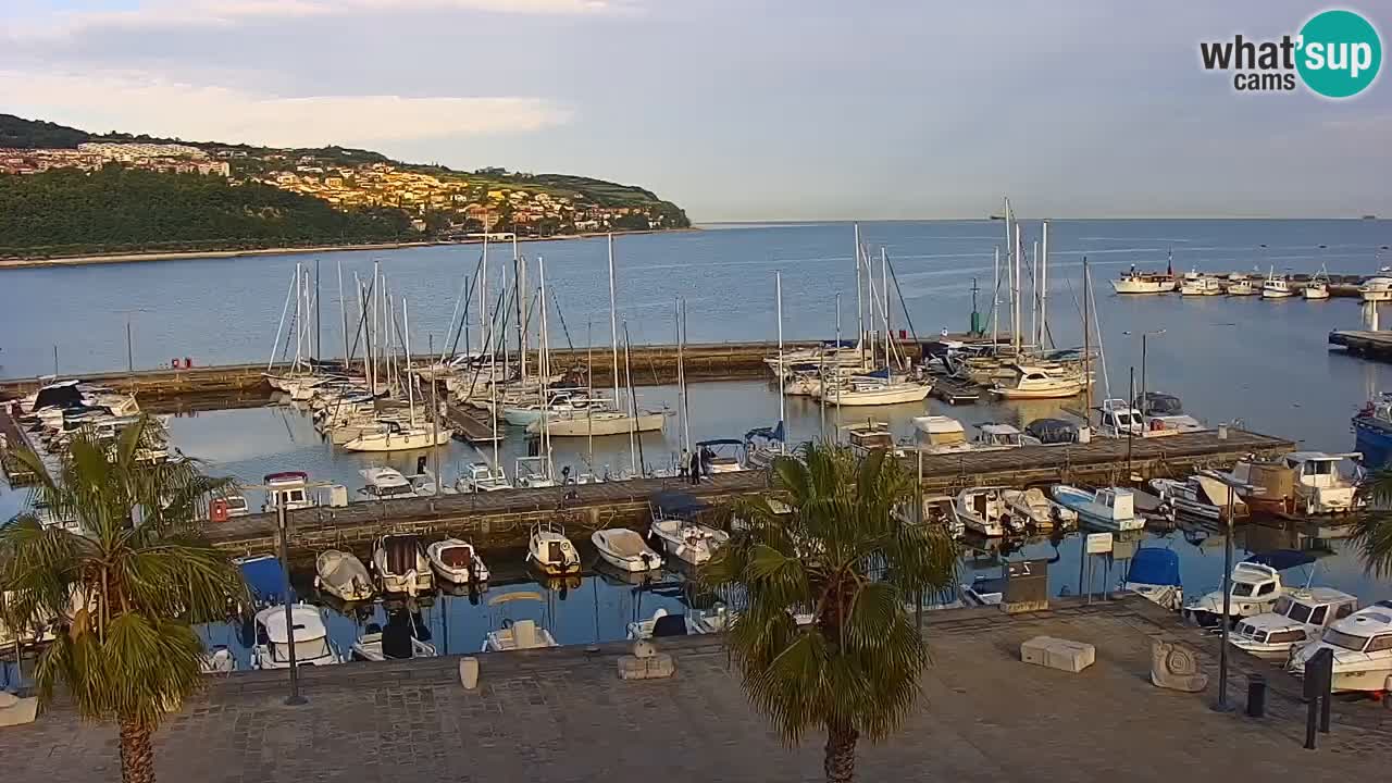 Webcam Koper – Panorama des Jachthafens und der Promenade vom Hotel Grand Koper