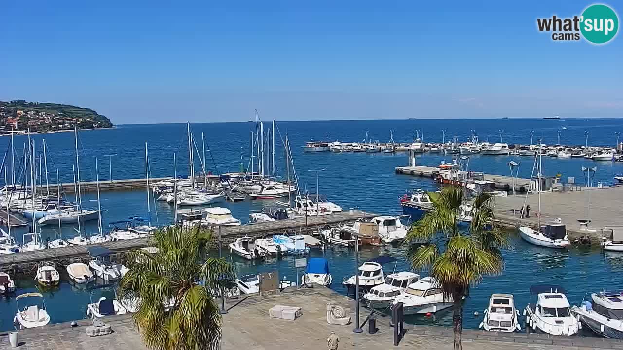 Spletna kamera Koper – Panorama na marino in promenado s Hotela Grand Koper